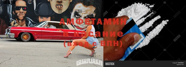 гашик Ельня