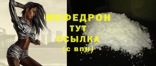гашик Ельня