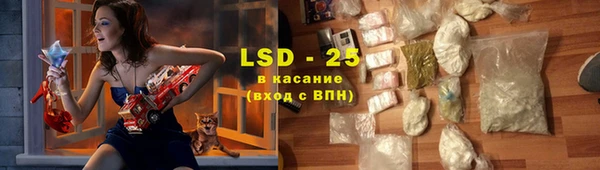 СК Елабуга