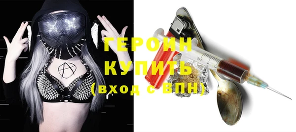 гашик Ельня