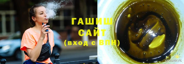 гашик Ельня