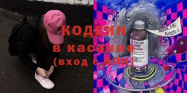 гашик Ельня