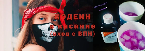 СК Елабуга