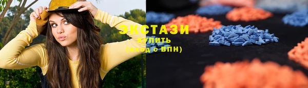 гашик Ельня