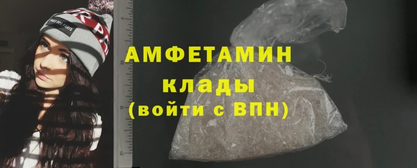гашик Ельня