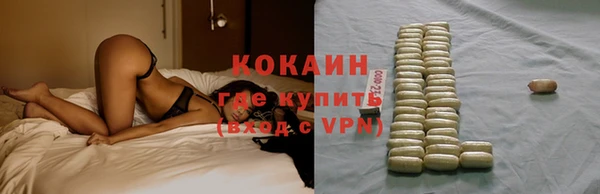 гашик Ельня