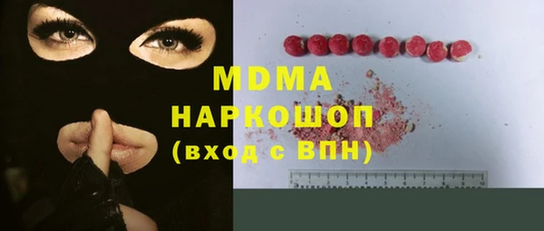 гашик Ельня