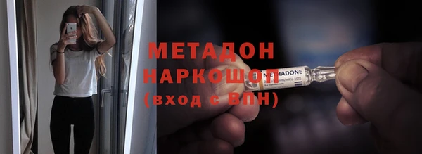 гашик Ельня