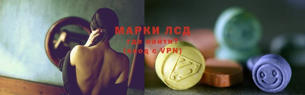 СК Елабуга
