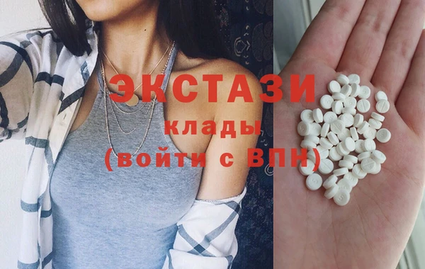 гашик Ельня