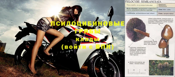 гашик Ельня