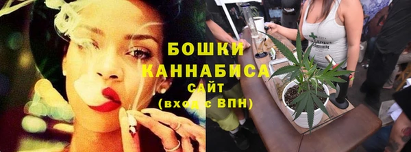 гашик Ельня