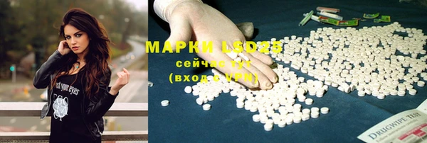 СК Елабуга