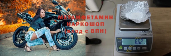 гашик Ельня